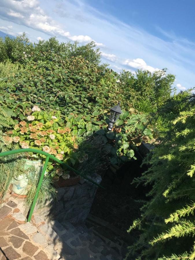 Studio Apartman Lavanda マトゥリ エクステリア 写真
